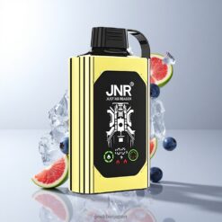 JNR Shisha Hookah Box 20500 Puffs ブルーバリーアイス HDディスプレイ搭載 25mlリキッド容量 卸売業者 日本