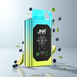 JNR Shisha Hookah Box 20500 Puffs ブルーベリーミント 25ml リキッド容量 & 1000mAh バッテリー容量 卸売業者 日本