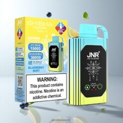 JNR Shisha Hookah Box 20500 Puffs ブルーベリーミント デュアルメッシュコイル 25ml リキッド容量 卸売業者 日本