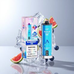 JNR Shisha Hookah Max 22000 Puffs Disposable Vape ブルーベリーアイス 伝統的なシーシャの風味とモダンなベイピングを融合した究極の体験 卸売業者 日本