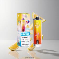 JNR Shisha Hookah Max 22000 Puffs Disposable Vape 伝統的なシーシャスタイルのドローと風味を再現 卸売業者 日本 Love 66