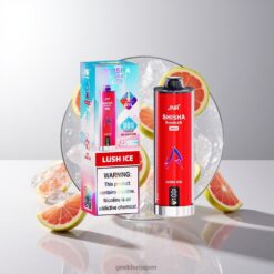 JNR Shisha Max 22K Disposable Vape 伝統的なシーシャの風味とモダンなベイピングを融合した22000パフスのトリプルメッシュコイル搭載デバイス 卸売業者 日本 Lush Ice