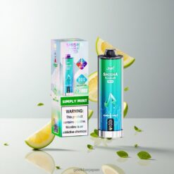 JNR Shisha Max 22K Disposable Vape伝統的なシーシャの風味と22000パフスの耐久性を融合した最新のベイピング体験 卸売業者 日本