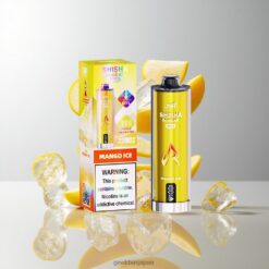 JNR Shisha Max 22K ディスポーザブルベイプ 伝統的なシーシャの味わいと22,000パフの長寿命を実現Mango Ice卸売業者 日本