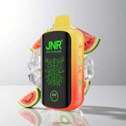 JNR Skywalker Box 21000 Puffs デュアルメッシュコイル & 25ml キウイウォーターメロンアイス 卸売業者 日本