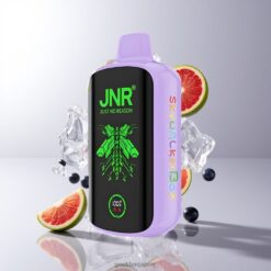 JNR Skywalker Box 21000 Puffs デュアルメッシュコイル 25ml グレープアイス 卸売業者 日本