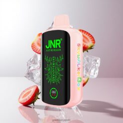 JNR Skywalker Box 21000 Puffs デュアルメッシュコイル & 25ml ストロベリーアイス 卸売業者 日本