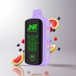 JNR Skywalker Box 21000 Puffs デュアルメッシュコイル 25ml ベリーバースト 卸売業者 日本