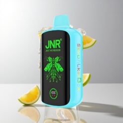 JNR Skywalker Box 21000 Puffs デュアルメッシュコイル＆850mAhバッテリー 卸売業者 日本 Sour Apple Ice