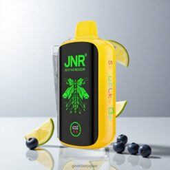 JNR Skywalker Box 21000 Puffs ブルーベリーレモネード 850mAhバッテリー 卸売業者 日本