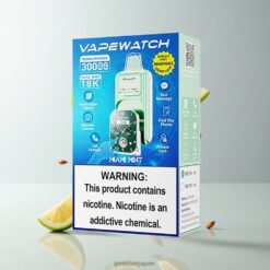 JNR VapeWatch 30000 Puffs デュアルメッシュコイル & 19mL リキッド容量 Miami Mint 卸売業者 日本