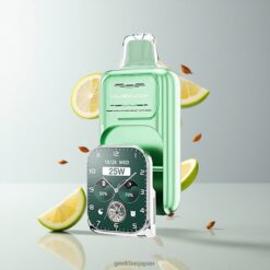 JNR VapeWatch 30000 Puffs デュアルメッシュコイル 19mL 卸売業者 日本 Miami Mint