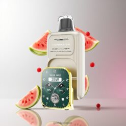 JNR VapeWatch 30000 Puffs デュアルメッシュコイル搭載 19mL リキッド容量 Watermelon Ice 卸売業者 日本