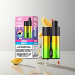 JNR WindWhip 44K Love 66 / Hawaii デュアルフレーバー 40ml リチャージャブル ディスポーザブル ベイプ 卸売業者 日本