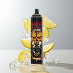 JNR Wolf Niplo 10000 Puffs メッシュコイル1.0オーム Pineapple Ice 卸売業者 日本