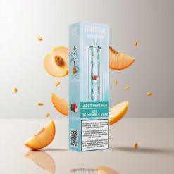 Juicy Peaches JNR Shisha Hookah 12000 Puffs 使い捨てベイプ 750mAhバッテリー容量 24mlリキッド容量 卸売業者 日本