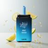LAVIE Aurora 11000 Puffs 22ML 650mAh タイプC充電式 ミント 卸売業者 日本