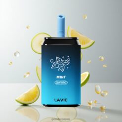 LAVIE Aurora 11000 Puffs 22ML 650mAh タイプC充電式 ミント 卸売業者 日本