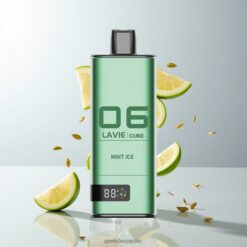 LAVIE Cube 20000 ディスポーザブルベイプ 600mAhバッテリー＆28mlオイルタンク 卸売業者 日本