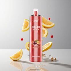 Love 66 JNR Shisha Hookah 12000 Puffs 使い捨てベイプ 750mAhバッテリー・24mlリキッド容量 卸売業者 日本
