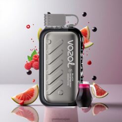 Vozol Gear Ice & Sweet 50K Kit 最大50000パフ 4段階アイス & 2段階甘さ調整 卸売業者 日本