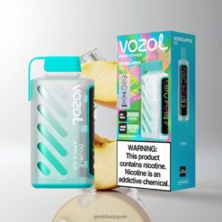 VOZOL Gear Power 20000 Puffs ダブルメッシュコイル & 20mL プリフィルド ダブルアップルアイス 卸売業者 日本