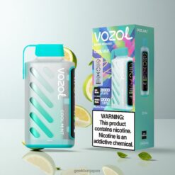 VOZOL Gear Power 20000 Puffs デュアルメッシュコイル & 20mL プレフィルド クールミント 卸売業者 日本