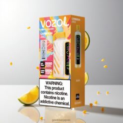 VOZOL Gear Power 20000 Puffs デュアルメッシュコイル & 20mL プレフィルド カリブジュース 卸売業者 日本