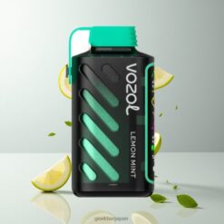 VOZOL Gear Power 20000 Puffs デュアルメッシュコイル & 20mL プレフィルド レモンミント 卸売業者 日本
