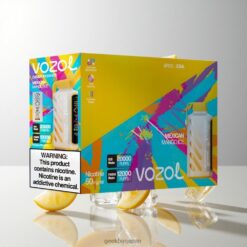 VOZOL Gear Power 20000 Puffs デュアルメッシュコイル & 20mL プレフィルド Mexican Mango Ice 卸売業者 日本