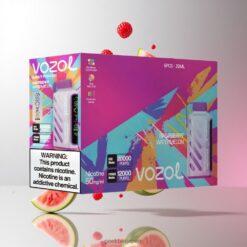 VOZOL Gear Power 20000 Puffs デュアルメッシュコイル & 20mL プレフィルド Raspberry Watermelon 卸売業者 日本