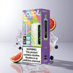 VOZOL Gear Power 20000 Puffs デュアルメッシュコイル グレープアイス 卸売業者 日本