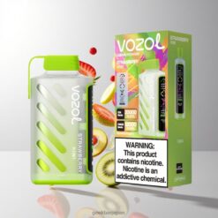 VOZOL Gear Power 20000 Puffs デュアルメッシュコイル搭載 20mL プレフィルド ストロベリーキウイ 卸売業者 日本