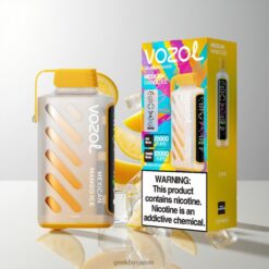VOZOL Gear Power 20000 Puffs デュアルメッシュコイル搭載 & 20mL Pre-Filled E-Liquid Capacity Mexican Mango Ice 卸売業者 日本