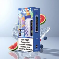 VOZOL Gear Power 20000 Puffs デュアルメッシュコイル搭載 20mLプリフィルド ブルーレズアイス 卸売業者 日本