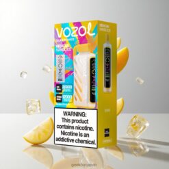 VOZOL Gear Power 20000 Puffs デュアルメッシュコイル搭載 & 20mLプレフィルド ECOモード20000パフス Mexican Mango Ice 卸売業者 日本