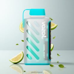 VOZOL Gear Power 20000 Puffs デュアルメッシュコイル搭載 20mLプレフィルド Cool Mint 卸売業者 日本
