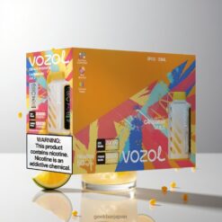 VOZOL Gear Power 20000 Puffs デュアルメッシュコイル搭載 & Caribbean Juice 卸売業者 日本