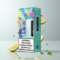 VOZOL Gear Power 20000 Puffs デュアルメッシュコイル搭載 クールミント 卸売業者 日本
