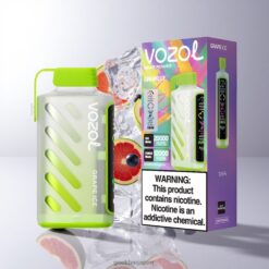 VOZOL Gear Power 20000 Puffs デュアルメッシュコイル搭載 グレープアイス 卸売業者 日本