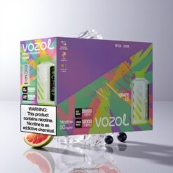 VOZOL Gear Power 20000 Puffs デュアルメッシュコイル搭載 グレープアイス 卸売業者 日本