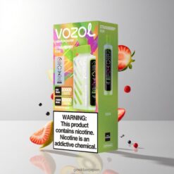 VOZOL Gear Power 20000 Puffs デュアルメッシュコイル搭載 ストロベリーキウイ 卸売業者 日本