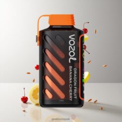 VOZOL Gear Power 20000 Puffs デュアルメッシュコイル搭載 ドラゴンフルーツバナナチェリー 卸売業者 日本