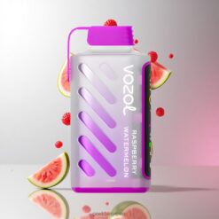 VOZOL Gear Power 20000 Puffs デュアルメッシュコイル搭載 ラズベリーウォーターメロン 卸売業者 日本