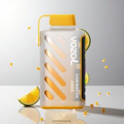 VOZOL Gear Power 20000 Puffs デュアルメッシュコイル＆20mL プレフィルド カリビアンジュース 卸売業者 日本