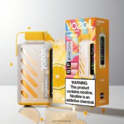 VOZOL Gear Power 20000 Puffs デュアルメッシュコイル＆フルスクリーンディスプレイ カリビアンジュース 卸売業者 日本