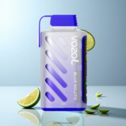 VOZOL Gear Power 20000 Puffs デュアルメッシュコイル＆フルスクリーンディスプレイ 20mL 5% 50mgBlue Mojito 卸売業者 日本