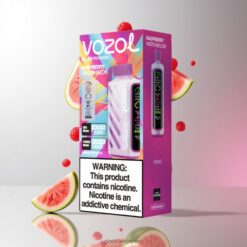 VOZOL Gear Power 20000 Puffs 電子タバコ フルスクリーンディスプレイ搭載 20mL ラズベリーウォーターメロン 卸売業者 日本