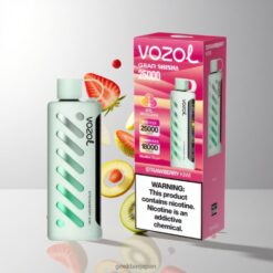 VOZOL Gear Shisha 25000 Puffs ストロベリーキウイ 1000mAh バッテリー 卸売業者 日本