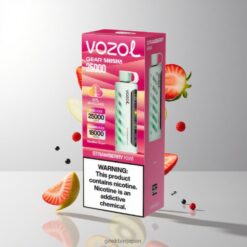 VOZOL Gear Shisha 25000 Puffs ストロベリーキウイ スマートチップS.i.L.C Tech デュアルメッシュデュアルモード 卸売業者 日本